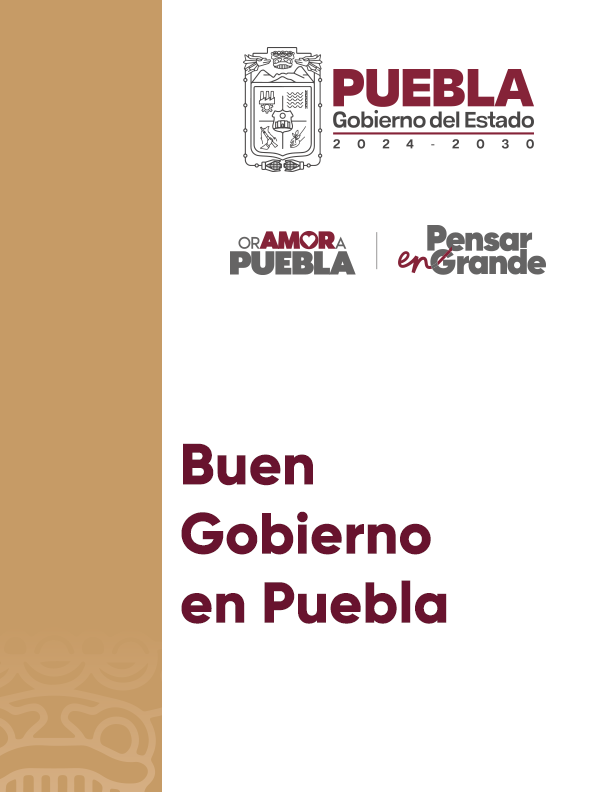 Portada de Documento Buen Gobierno en Puebla