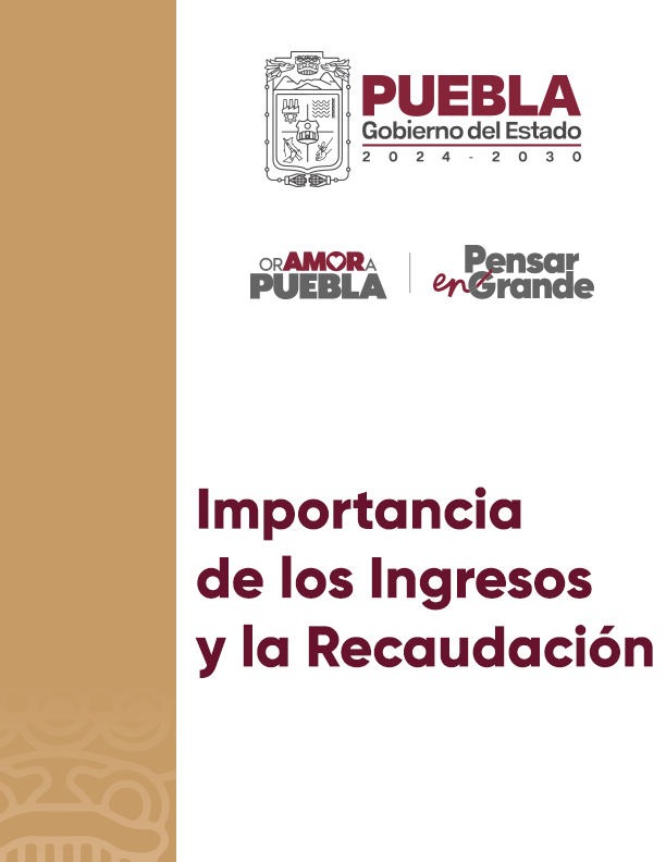 Portada de Documento Importancia de los Ingresos y la Recaudación